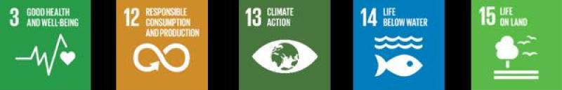 Eco-Point Sustainability Goals